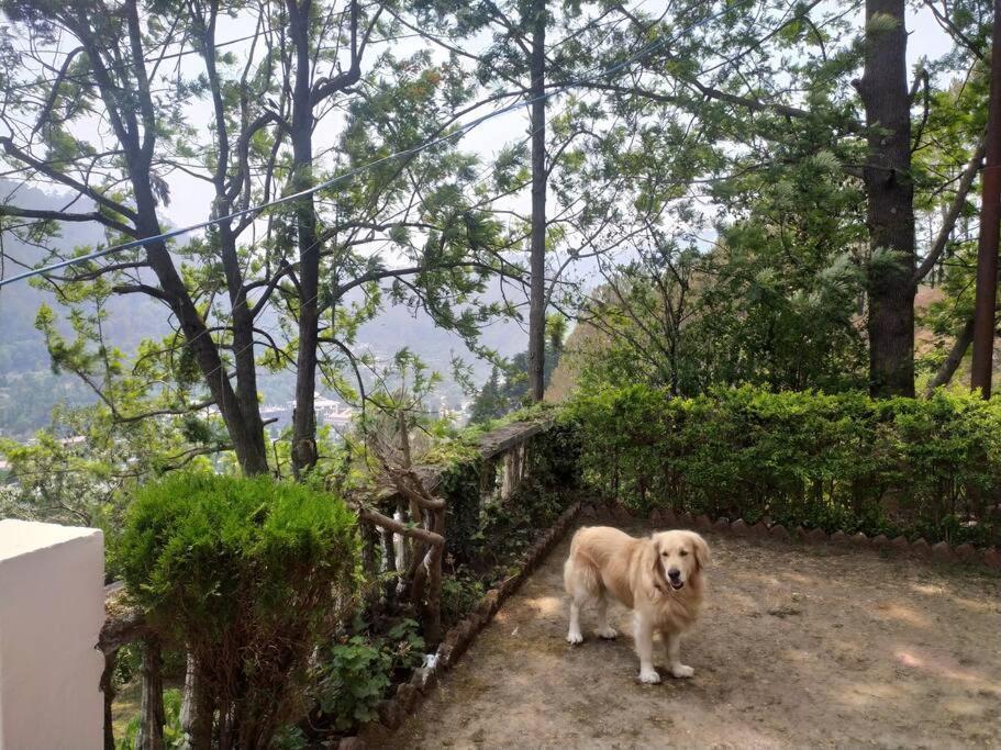 Whistling Thrush Cottage, Bhimtal Naini Tāl Exterior foto