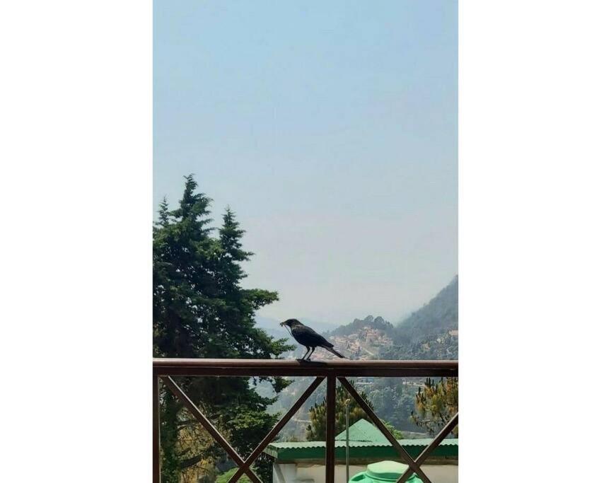 Whistling Thrush Cottage, Bhimtal Naini Tāl Exterior foto