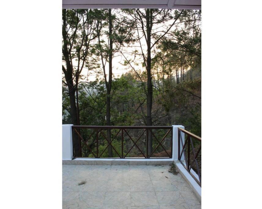 Whistling Thrush Cottage, Bhimtal Naini Tāl Exterior foto